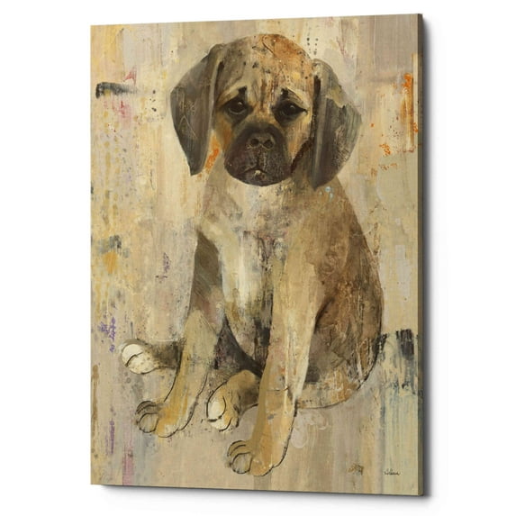 Epic Graffiti 'Paco v2' by Albena Hristova, Canvas Wall Art, 26"x34"