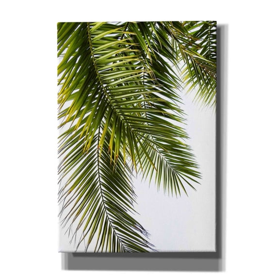 Epic Graffiti 'Palm Leaves' by Lexie Greer, 18"x26"