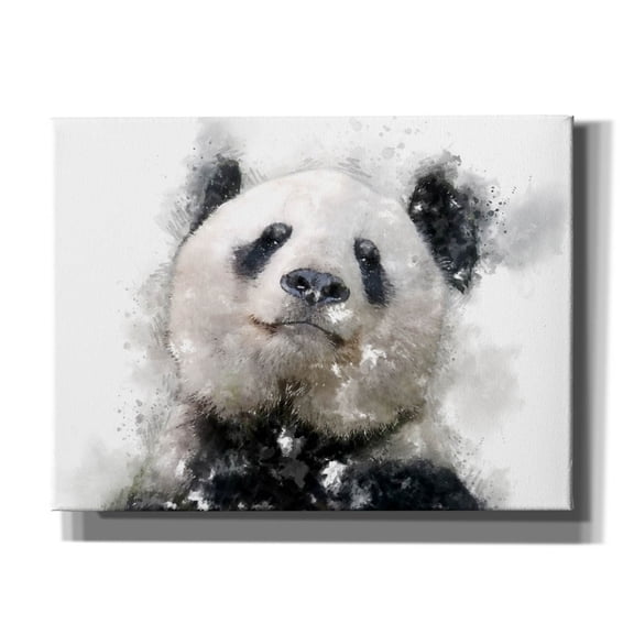 Epic Graffiti 'Panda Love' by Kim Curinga, Canvas Wall Art, 16"x12"