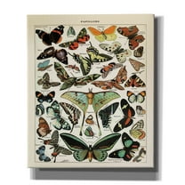 Epic Graffiti'Papillons 1' by Susan Ball, Giclee Canvas Wall Art, 20"x24"