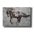 thumbnail image 1 of Epic Graffiti 'Paso Fino 2' by Irena Orlov, Canvas Wall Art, 18"x12", 1 of 3