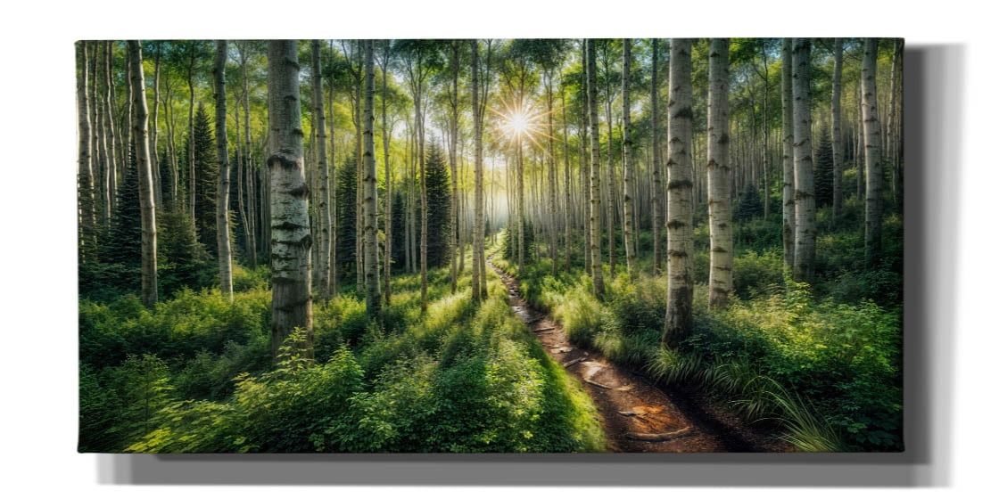 Epic Graffiti 'Path In Aspen Forest' by Rey Klimt Canvas Wall Art, 24 ...