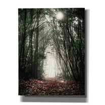 Epic Graffiti'Path In The Woods' by Susan Ball, Giclee Canvas Wall Art, 26"x34"
