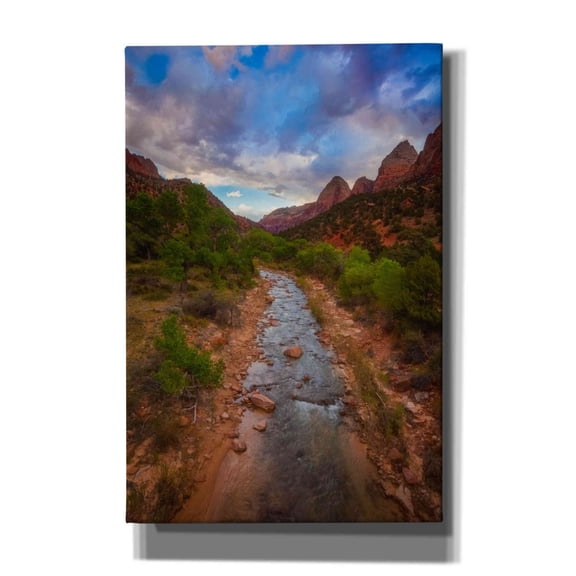Epic Graffiti 'Path to Zion - Zion National Park' by Darren White, Giclee Canvas Wall Art, 12"x18"