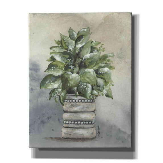 Epic Graffiti 'Pathos in Pottery' by Julie Norkus, Giclee Canvas Wall Art, 26"x34"