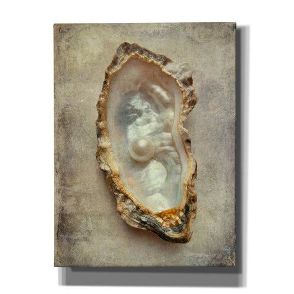 Epic Graffiti 'Pearl Treasure' by Svetlana Aleynikova Canvas Wall Art, 12" x 16"