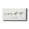 thumbnail image 1 of Epic Graffiti 'Pebbles and Sandpipers I' by Lisa Audit, Canvas Wall Art, 60"x30", 1 of 2