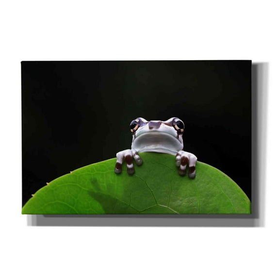 Epic Graffiti 'Peekaboo' by Epic Portfolio Giclee Canvas Wall Art, 18"x12"