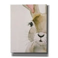 thumbnail image 1 of Epic Graffiti'Peeking Bunny' by Susan Ball, Giclee Canvas Wall Art, 26"x34", 1 of 8