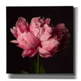 thumbnail image 1 of Epic Graffiti 'Perfect Peony' by Leah McLean Giclee Canvas Wall Art, 12"x12", 1 of 6