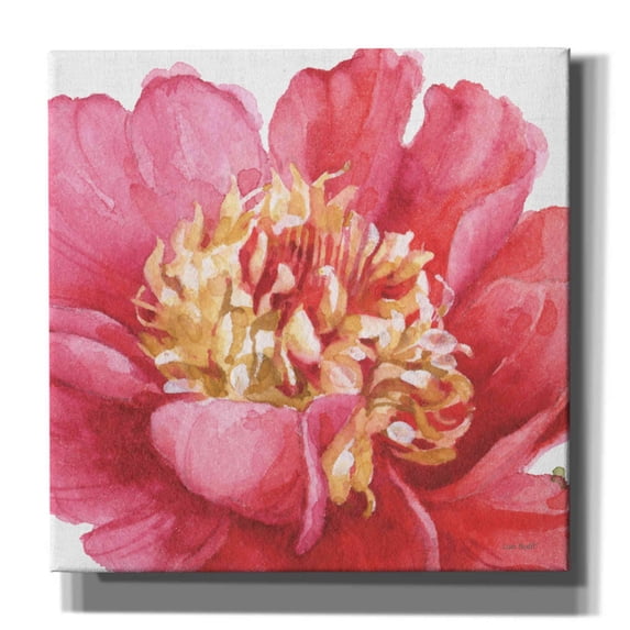 Epic Graffiti 'Pink Garden V' by Lisa Audit, Canvas Wall Art, 26"x26"