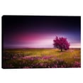 thumbnail image 1 of Epic Graffiti ''Pink Nights'' by Bess Hamiti Photographic Print on Wrapped Canvas, 1 of 2