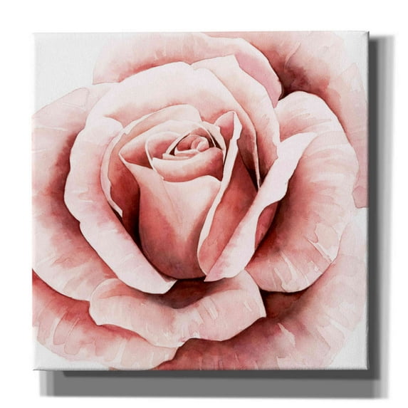 Epic Graffiti 'Pink Rose II' by Grace Popp, Canvas Wall Art, 26"x26"