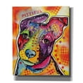 thumbnail image 1 of Epic Graffiti 'Pittiful' by Dean Russo, Giclee Canvas Wall Art, 20"x24", 1 of 2