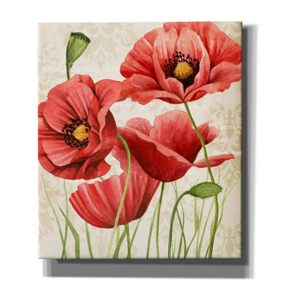 Epic Graffiti 'Poised Poppy I' by Grace Popp, Giclee Canvas Wall Art, 26"x30"