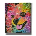 thumbnail image 1 of Epic Graffiti 'Pom Pom 2' by Dean Russo, Canvas Wall Art, 26"x30", 1 of 8