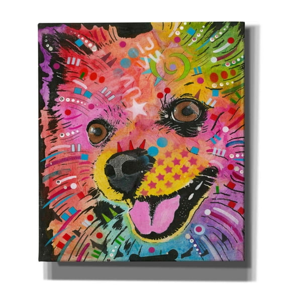 Epic Graffiti 'Pom Pom 2' by Dean Russo, Canvas Wall Art, 26"x30"