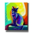 thumbnail image 1 of Epic Graffiti 'Pop Art Black Cat' by Furbaby Affiliates, Canvas Wall Art, 20"x24", 1 of 8