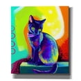 thumbnail image 1 of Epic Graffiti 'Pop Art Black Cat' by Furbaby Affiliates, Canvas Wall Art, 26"x30", 1 of 8