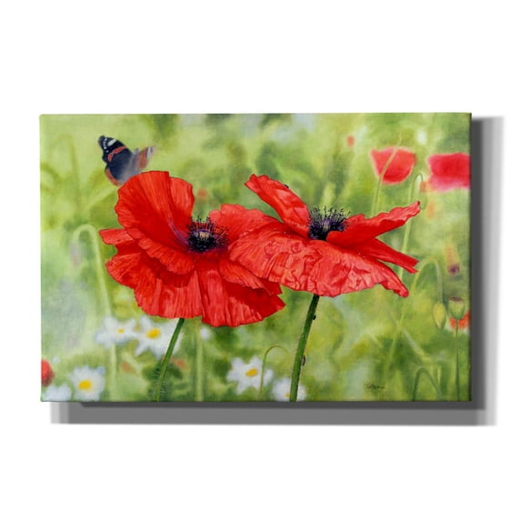 Epic Graffiti 'Poppies And Butterfly' by Bill Makinson, Canvas Wall Art, 18"x12"