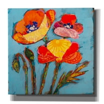 Epic Graffiti 'Poppy 2' by St. Hilaire Elizabeth, Canvas Wall Art, 26"x26"
