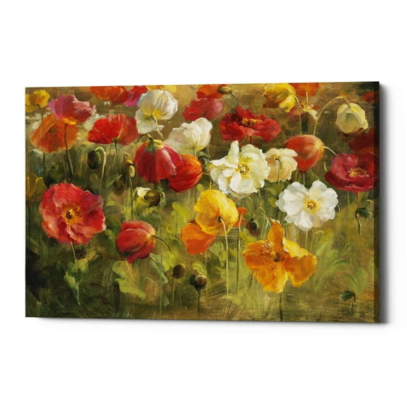 Epic Graffiti 'Poppy Field' by Danhui Nai, Giclee Canvas Wall Art - Red 40" x 26"