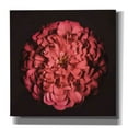 thumbnail image 1 of Epic Graffiti 'Portrait of a Zinnia' by Leah McLean,, 37"x37", 1 of 8