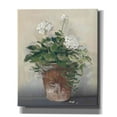 thumbnail image 1 of Epic Graffiti 'Pot Of White Geraniums' by Carol Rowan, Giclee Canvas Wall Art, 20"x24", 1 of 8