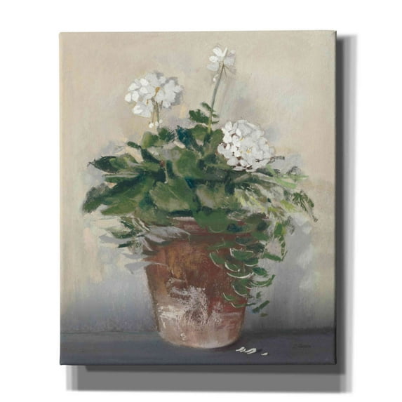 Epic Graffiti 'Pot Of White Geraniums' by Carol Rowan, Giclee Canvas Wall Art, 20"x24"