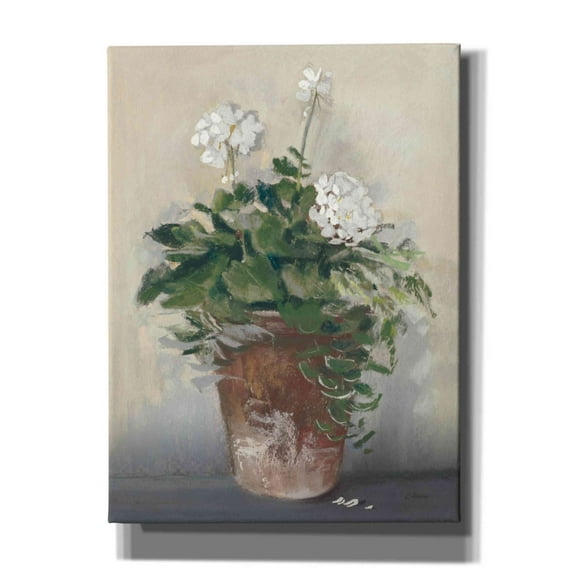 Epic Graffiti 'Pot Of White Geraniums' by Carol Rowan, Giclee Canvas Wall Art, 40"x54"