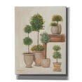 thumbnail image 1 of Epic Graffiti 'Potting Bench & Topiaries I' by Pam Britton, Canvas Wall Art, 26"x34", 1 of 2