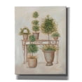 thumbnail image 1 of Epic Graffiti 'Potting Bench & Topiaries II' by Pam Britton, Canvas Wall Art, 26"x34", 1 of 2