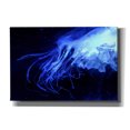 thumbnail image 1 of Epic Graffiti 'Preditor' by Epic Portfolio, Giclee Canvas Wall Art, 26"x18", 1 of 8