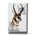 thumbnail image 1 of Epic Graffiti 'Pronghorn' by Barbara Keith, Canvas Wall Art, 12"x18", 1 of 8