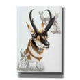 thumbnail image 1 of Epic Graffiti 'Pronghorn' by Barbara Keith, Canvas Wall Art, 18"x26", 1 of 2