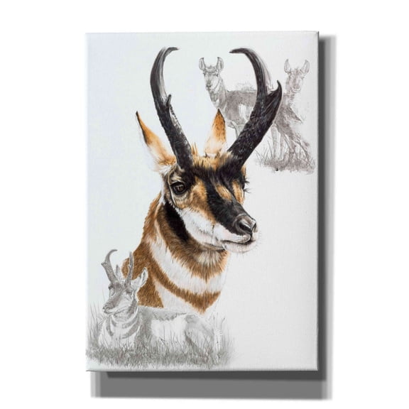 Epic Graffiti 'Pronghorn' by Barbara Keith, Canvas Wall Art, 18"x26"