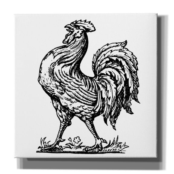 Epic Graffiti 'Proud Rooster'  by Art Licensing Studio Canvas Wall Art, 18" x 18"