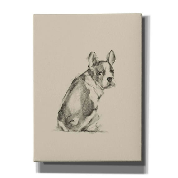 Epic Graffiti 'Puppy Dog Eyes IV' by Ethan Harper Canvas Wall Art, 40"x54"