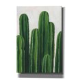 thumbnail image 1 of Epic Graffiti 'Pura Vida III' by Grace Popp, Canvas Wall Glass, 18"x26", 1 of 2