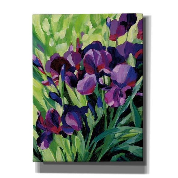 Epic Graffiti 'Purple Iris' by Katrina Pete Canvas Wall Art, 12" x 16"