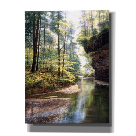 Epic Graffiti 'Quiet Forest' by Bill Makinson, Canvas Wall Art, 12"x16"