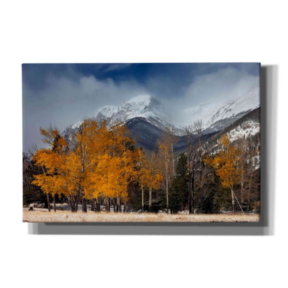 Epic Graffiti 'RMNP Aspens and Storm Clouds' by Mike Jones, Giclee Canvas Wall Art, 18"x12"