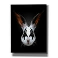 thumbnail image 1 of Epic Graffiti 'Rabbit Rocks' by Robert Farkas, Giclee Canvas Wall Art, 12"x16", 1 of 8