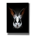 thumbnail image 1 of Epic Graffiti 'Rabbit Rocks' by Robert Farkas, Giclee Canvas Wall Art, 40"x54", 1 of 8