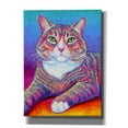 thumbnail image 1 of Epic Graffiti 'Rainbow Brown and White Tabby Cat' by Rebecca Wang Art, Acrylic Glass Wall Art, 40"x54", 1 of 8