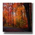 thumbnail image 1 of Epic Graffiti 'Rainbow Fall' by Philippe Sainte-Laudy, Canvas Wall Art, 26"x26", 1 of 8