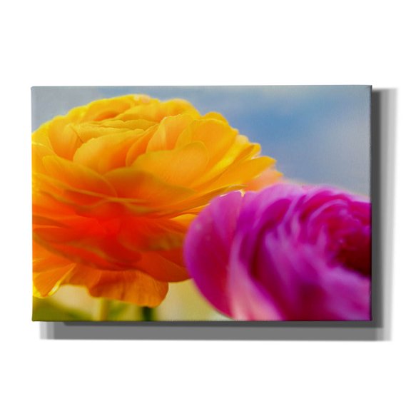 Epic Graffiti 'Ranunculus In Orange And Pink' by Pamela Plummer, Canvas Wall Art, 26"x18"