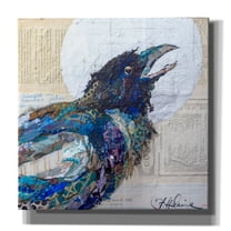 Epic Graffiti 'Raven 6' by St. Hilaire Elizabeth, Canvas Wall Art, 26"x26"