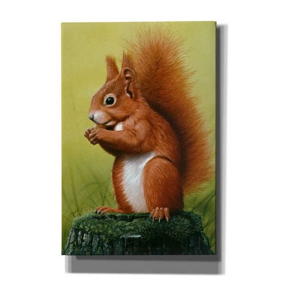 Epic Graffiti 'Red Squirrel' by Harro Maass, Canvas Wall Art, 12"x18"