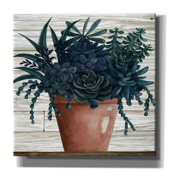 Epic Graffiti 'Remarkable Succulents III' by Cindy Jacobs, Canvas Wall Art, 12"x12"